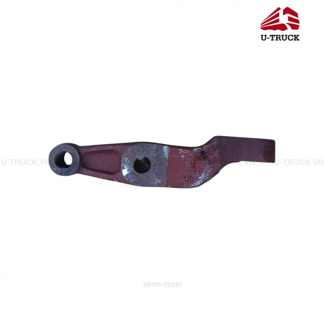 Bàn tay ếch bên trái