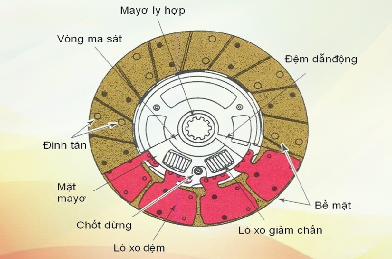 Cấu tạo của lá côn