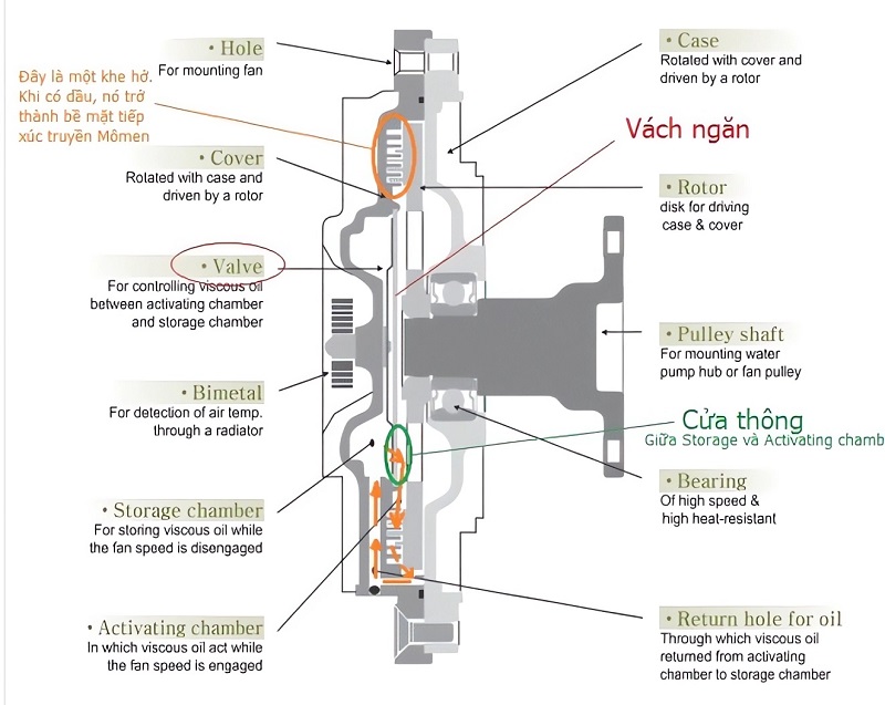 Các bộ phận của ly tâm