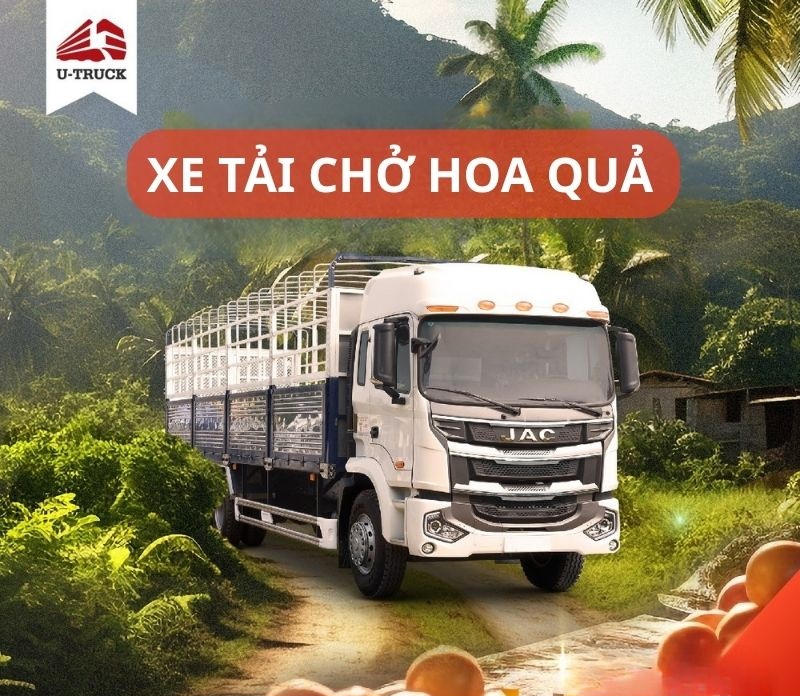 Mua xe tải buôn hoa quả loại nào phù hợp? Giá bao nhiêu?