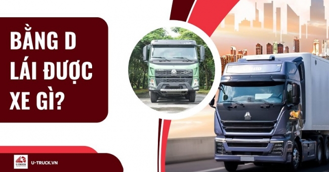 Bằng lái hạng D chạy được xe gì? Thời hạn bao lâu?