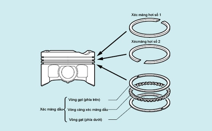 Xéc măng dầu và xéc măng khí (hơi)