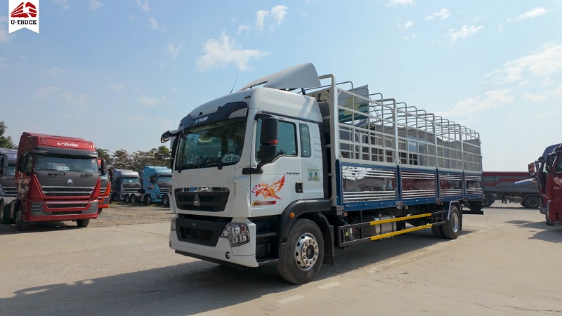 HOWO TX 240 4×2 Cargo Truck with 9.9m Tarpaulin Body