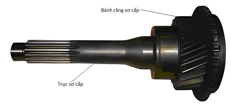 Trục sơ cấp
