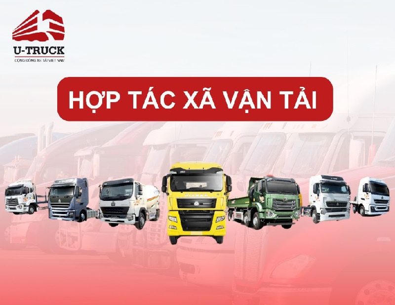 Hợp tác xã vận tải